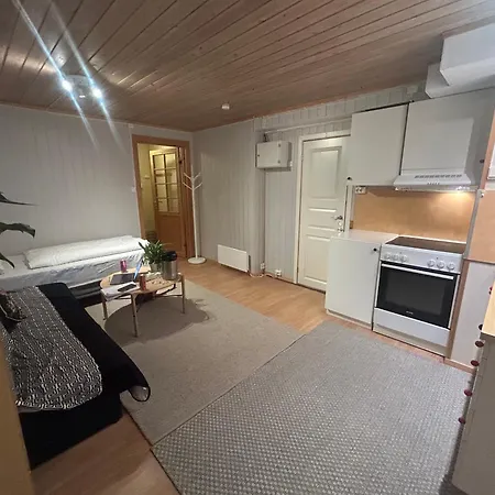 Romslig I Tomasjord Apartment